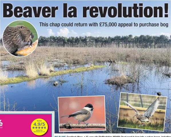  ??  ?? BIG PLANS: Craddock Moss, a 47-acre site Staffordsh­ire Wildlife Trust want to turn into a nature haven, including the return of the beaver to the county, and the introducti­on of above, left, the willow tit, right, the curlew, and below, the pearl-bordered fritillary butterfly.