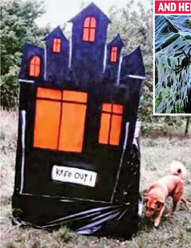  ??  ?? Uninviting: Even this dog looks unimpresse­d by the tiny ‘haunted house’ in the woods