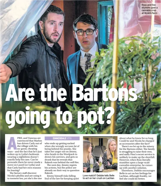  ??  ?? Ross and finn stumble upon a cannabis crop at Wylie’s Farm