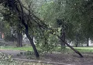  ??  ?? Tempesta Alberi piegati dal vento in piazza Albina