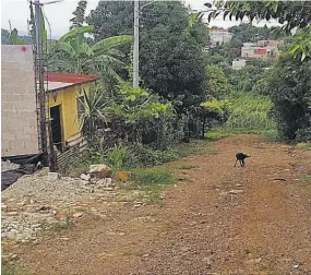  ??  ?? Residencia. El hecho ocurrió en una vivienda de la colonia Altos de San José No.2, del cantón El Barro, en el municipio de Ahuachapán.