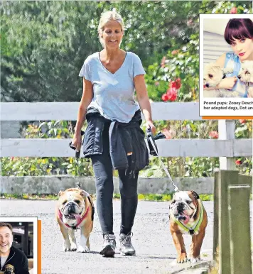  ??  ?? Pound pups: Zooey Deschanel with her adopted dogs, Dot and Zelda Walkies: Ulrika Jonsson, main, with her bulldogs