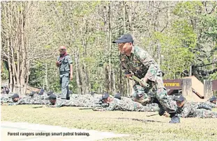  ??  ?? Forest rangers undergo smart patrol training.