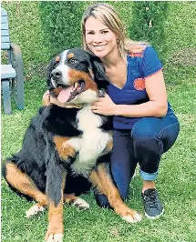 Archie, víctima de la pólvora - PressReader