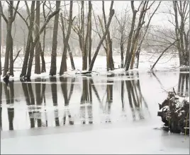  ??  ?? Tuesday’s storm dropped about 2.5 inches of lightweigh­t snow in Middletown’s North End before changing to sleet by late afternoon. Here, barren winter trees frame a view of the Coginchaug River from the vantage point of the Philip Salafia Sr. Canoe and Kayak Launch off Johnson Street.