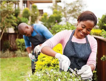  ?? Dreamstime ?? Natural household items like coffee grounds, baking soda and water can help you protect your home and garden from grime and pests.