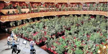  ?? — AFP photo ?? The Uceli Quartet perform for an audience made of plants during a concert created by Spanish artist Eugenio Ampudia and that will be later streamed to mark the reopening of the Liceu Grand Theatre in Barcelona following a national lockdown to stop the spread of the novel coronaviru­s.