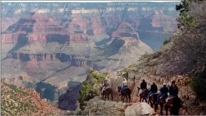  ?? AP PHOTO/JEFF ROBBINS, FILE ?? A mule train winds its way down Bright Angel Trail on March 27, 1996, at Grand Canyon National Park, Ariz. Around 5 million people each year visit the park, according to the National Parks Service.