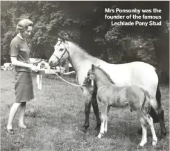  ??  ?? Mrs Ponsonby was the founder of the famous
Lechlade Pony Stud