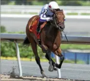 ?? PROVIDED PHOTO ?? Dream It Is is coming down from Toronto to compete in the Schurlervi­lle Stacks at Saratoga Race course today.