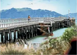  ?? ROSA WOODS/STUFF ?? Petone Wharf has suffered substantia­l damage from earthquake­s in recent years.