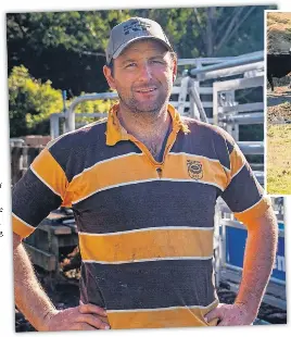 Kiwi farmer gets global audience on YouTube - PressReader