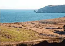  ?? Scott Strazzante/The Chronicle 2022 ?? Point Reyes National Seashore is one of four national parks where advocates contend planes fly too low, disturbing wildlife.