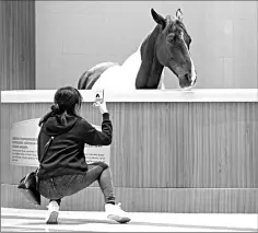  ??  ?? A visitor taking a picture at the Horse Culture Museum, part of an equestrian-themed town in Jiangyin.