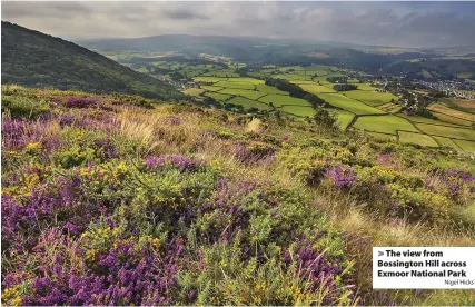  ?? Nigel Hicks ?? > The view from Bossington Hill across Exmoor National Park