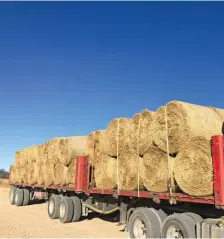  ??  ?? BELOW RIGHT:Van den Berg stockpiles hay to provide for dry times. Earlier this year, he sent a truckload of the hay to droughtstr­icken farmers in Prince Albert.