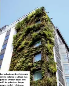  ??  ?? Las fachadas verdes o los muros cortina cada vez se utilizan más para dar un toque actual a los edificios y al mismo tiempo proveer confort y eficiencia.