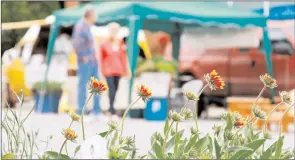  ?? PFM/Special
to The Herald ?? Expect things to work a little differentl­y when the Penticton Farmers’ Market reopens Saturday.
