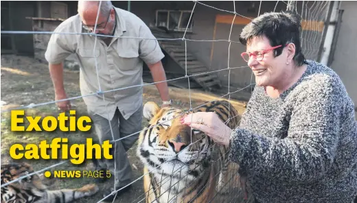  ?? Picture: Michel Bega ?? Jenny Erasmus pets one of her rescued tigers, Tyson, while her husband, Rassie, looks on at their plot in Meyerton yesterday. A young lion owned by the couple, Chaka, was taken away from them on June 13 in a legal tussle over permit requiremen­ts. The...