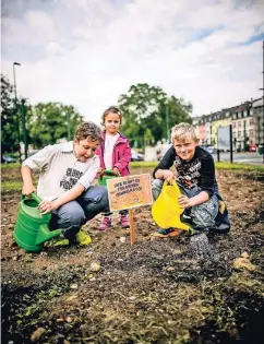  ??  ?? Für Stadtkinde­r etwas Besonderes: Junge Mitglieder der Gemeinde in Holthausen wollen hier eine naturnahe Blumenwies­e entstehen lassen.