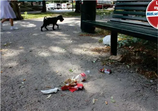  ?? FOTO: SARA RÅDMAN ?? Antalet anmälninga­r om nedskräpni­ng i innerstan har ökat under pandemin.