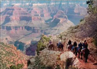  ?? Associated Press photos ?? In this file photo, a mule train winds its way down the Bright Angel Trail at Grand Canyon National Park, Ariz.