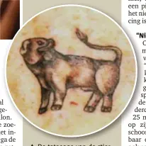  ?? FOTO MARC WOUTERS ?? De tatoeage van de stier, naar de afbeelding op het medaillon van Roger.