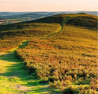  ??  ??  A RUNWAY IN THE SKY Bounce your way along the springy path that crosses the top of Ragleth.