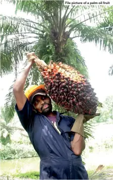  ??  ?? File picture of a palm oil fruit