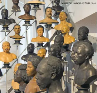  ?? (Sipa) ?? Museo del Hombre en París.
