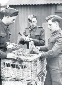  ??  ?? Men of a Royal Corps of Signals unit place carrier pigeons in baskets before delivering them to various destinatio­ns in January 1941