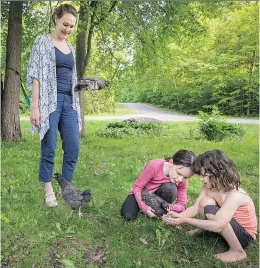  ?? PETER McCABE ?? Kirsten Bowser with two of her children, Greta and Ingrid, with a pair of the family’s chickens they are raising at their Hudson home.