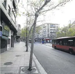  ?? JAIME GALINDO ?? La motorista colisionó con el árbol que aparece en primer término.