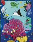  ?? Repro: Gerstenber­g Verlag ?? Vorhang auf für das farbenpräc­htige Korallenri­ff.
