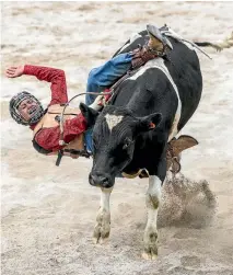  ??  ?? Bull-riding is a firm fans’ favourite at Taupo rodeo.