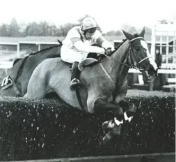  ??  ?? Bob and Aldaniti land the Whitbread Trial Handicap Chase at Ascot as the 14-1 outsider, just two months before the 1981 Grand National