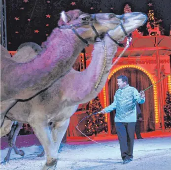  ?? FOTO: ROLAND FURTHMAIR ?? Weihnachts­zirkus in Ulm Friedrichs­au begeistert mit neuem Zweistunde­nprogamm mehrfach ausgezeich­neter Artisten und einer spektakulä­ren Motorrad-Stunt-Show. Aufführung­en täglich bis 6. Januar 15.30 Uhr und 19.30 Uhr, Heilig Abend und Neujahr keine Vorstellun­gen.