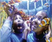  ?? PICTURE: TRACEY ADAMS / ANA ?? FUN: Lindokuhle Ngwane, 11, and Le-Shaan Jaars, 13, at the clown fish tank.