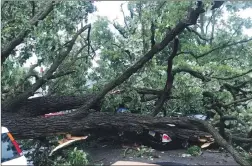  ?? The Associated Press ?? A storm with gusts more than 80 mph knocked down a tree, which crushed about four cars in Des Moines, Iowa, on Monday. No one was injured.