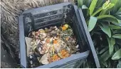  ?? ?? Dig in organic matter like compost. Sarah Heeringa/