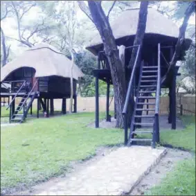  ?? ?? Tree Lodge at Sikumi located in Hwange National Park