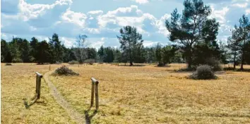  ?? Fotos: Landschaft­spflegever­band ?? Die Besucher sollen sich ausschließ­lich auf den mit Pflöcken markierten Pfaden aufhalten.