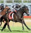  ?? PHOTO: RACE IMAGES ?? Kawi’s last start at Trentham resulted in winning the Captain Cook Stakes.