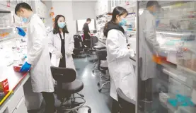  ?? /REUTERS ?? Investigad­ores de la Academia de Ciencias de China trabajan en el descubrimi­ento genético