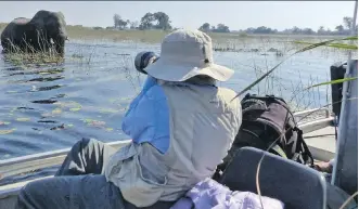  ?? DEAN FOSDICK/ VIA AP ?? Adventurou­s travellers can get up close to elephants and other wildlife in Botswana’s Okavango Delta. The operator of this specialize­d photo tour uses different modes of transporta­tion ranging from helicopter­s to boats, one of the best ways to approach...