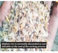  ?? ?? Afafata rice is normally discarded as not saleable at the end of the sorting process