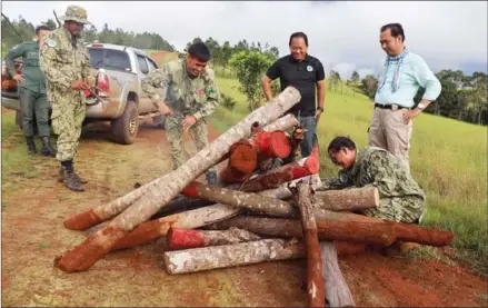  ?? HENG CHIVOAN ?? Rangers remove illegal posts used by land theives to cordon off plots of state property as their own.