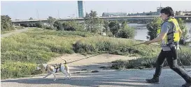  ??  ?? Suchhunde erschnüffe­lten auf einem Parkplatz in der Nähe der Floridsdor­fer Brücke den Geruch des Mädchens.