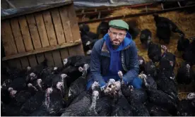  ?? Photograph: Christophe­r Thomond/The GuarFrozen ?? Paul White of Laneshaw Bridge, near Colne, Lancashire, with his turkeys in 2021, before bird flu forced farmers to raise them indoors.