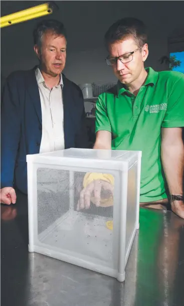  ?? Picture: BRENDAN RADKE ?? BUZZING: Director of Health and Biosecurit­y at CSIRO Rob Grenfell and JCU research fellow Kyran Staunton hope a trial which wiped out mosquitoes at Innisfail can be expanded.